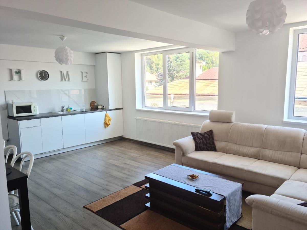 Apartament In Inima Dornei Apartment Vatra Dornei Luaran gambar